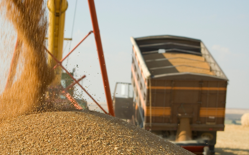 ¿Por qué es clave en la agricultura moderna el transporte basculante?